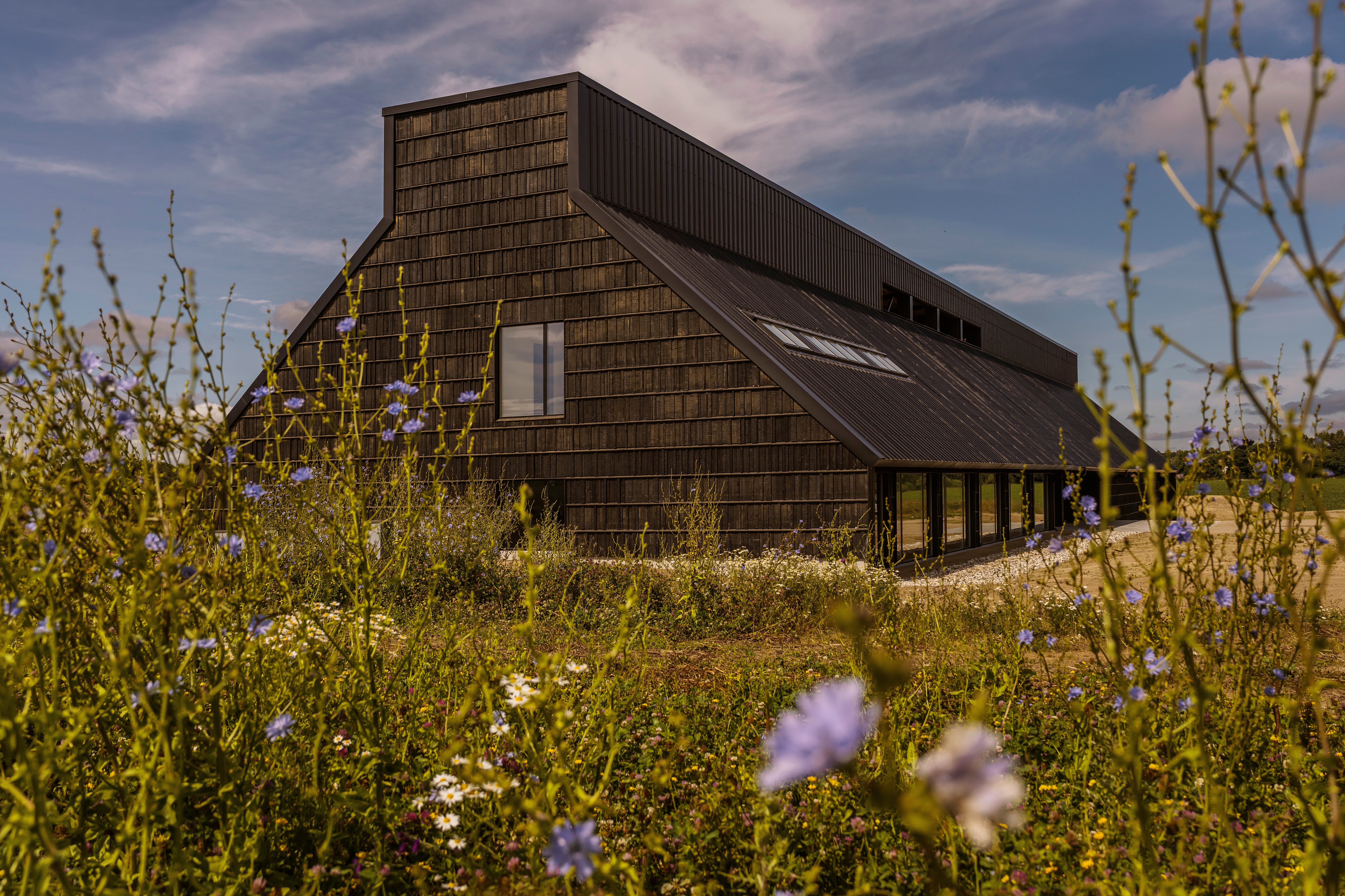 The New Museum at Borgring. Photo: Thomas Lekfeldt.